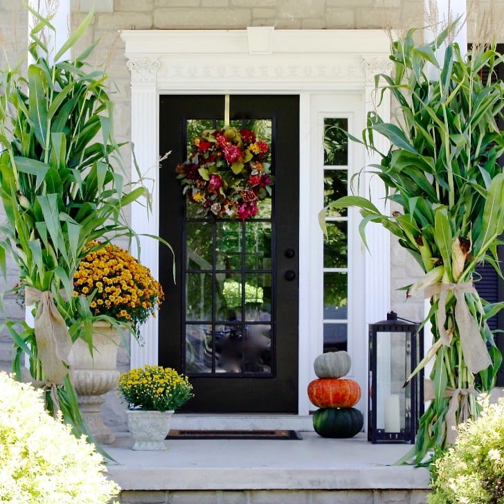Fall Packages