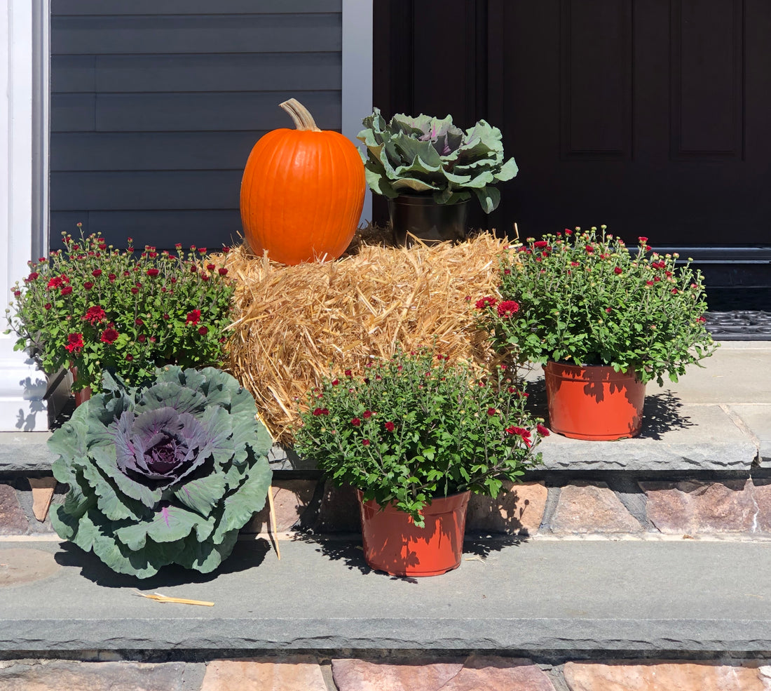 Porch Package 
