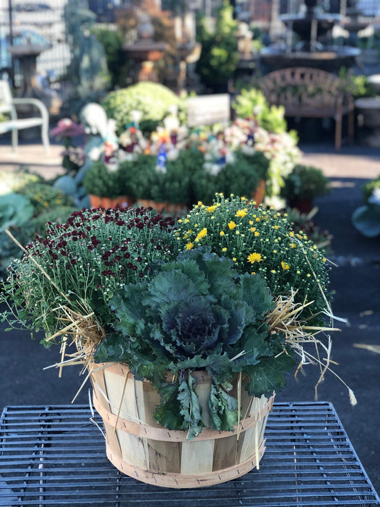 Bushel Basket Combo